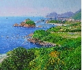 森田秀和　枯木灘海岸　F10　P4022.jpg